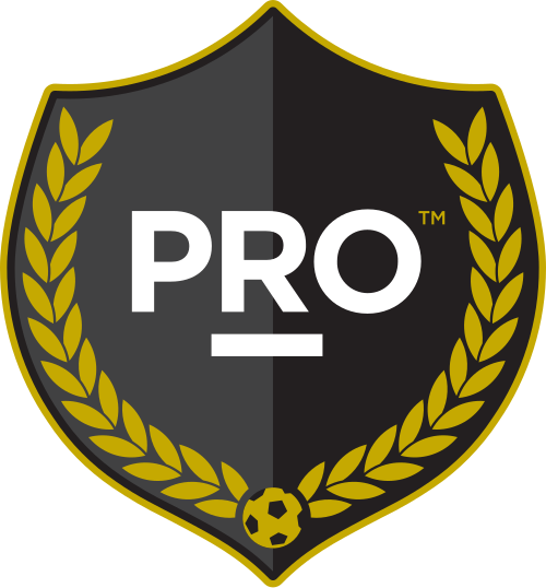 Professional Referee Organization